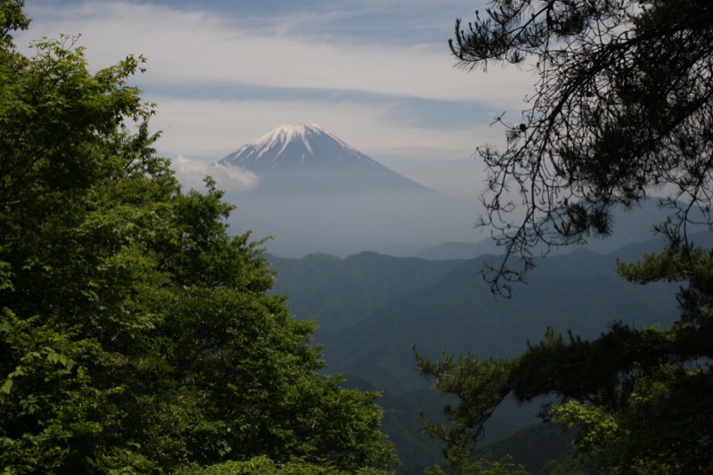 「蛾ヶ岳」の富士山
