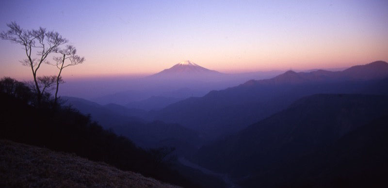 「蛭ヶ岳」の富士山