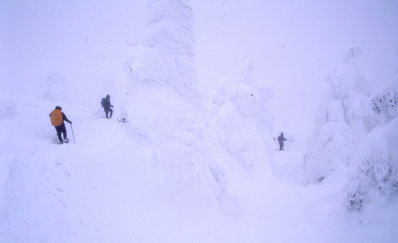 八甲田山