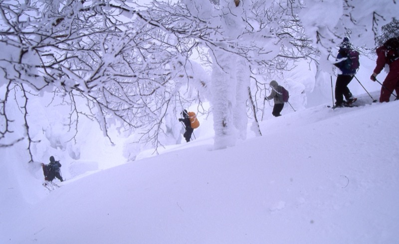 八甲田山