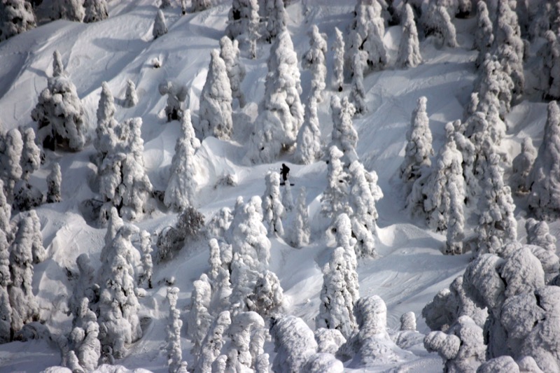 八甲田山