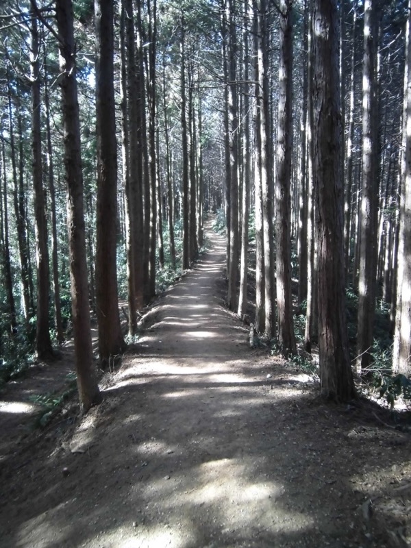 日和田山