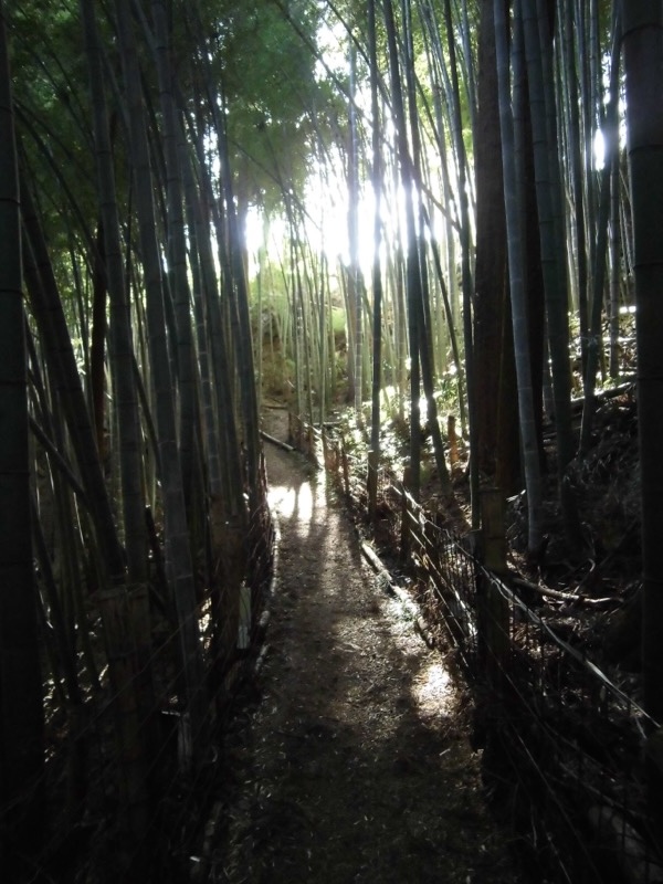 日和田山