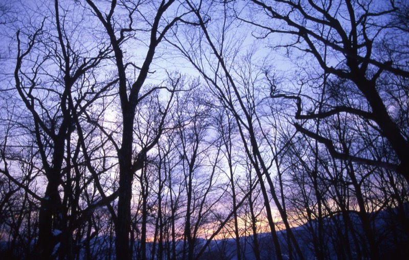 鷹ノ巣山