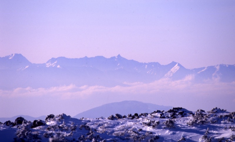 北八ヶ岳