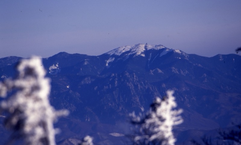 北八ヶ岳