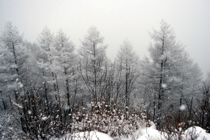 守屋山