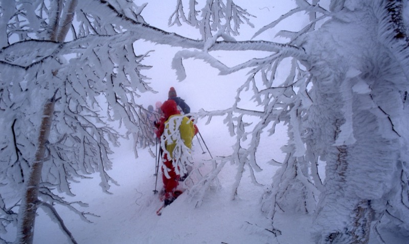 八甲田山