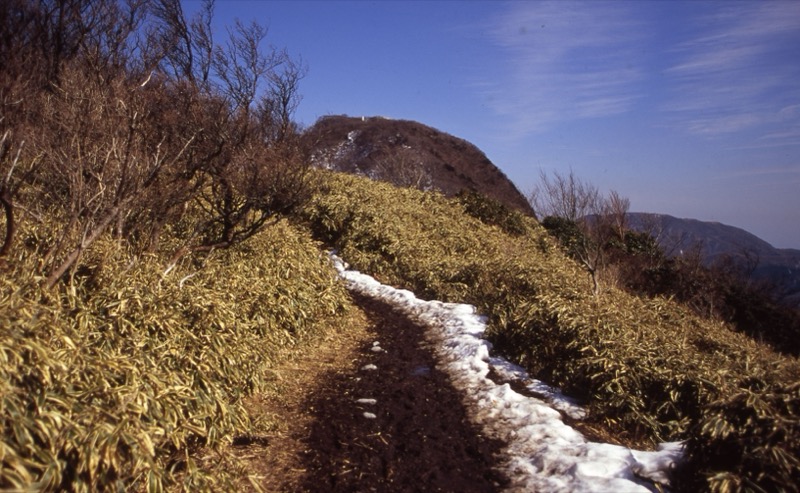 金時山