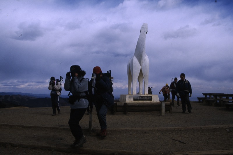 陣馬山