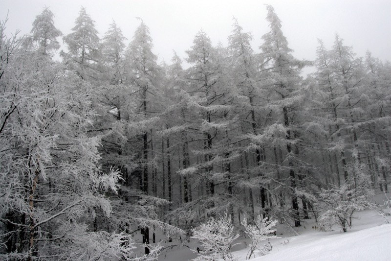 入笠山