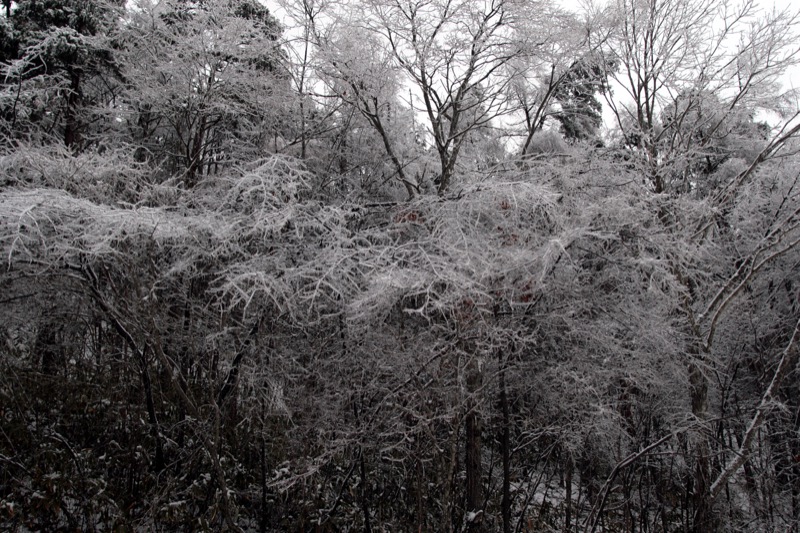 入笠山