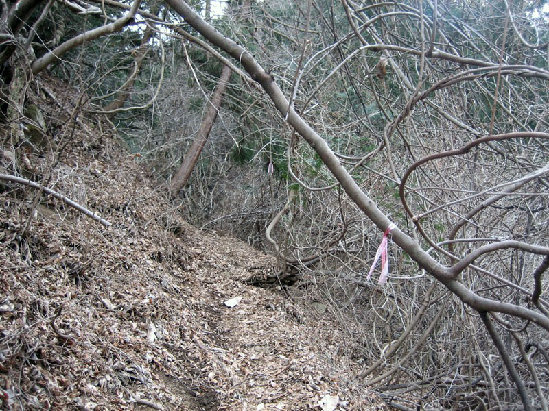 高川山