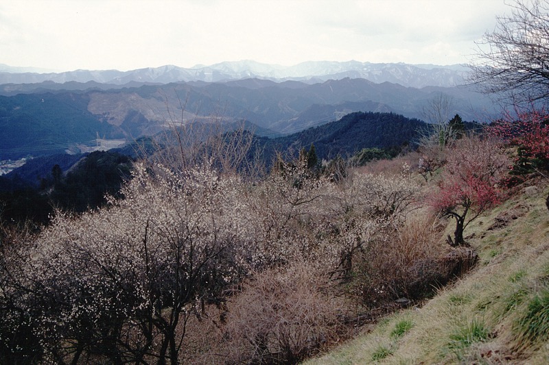 顔振峠