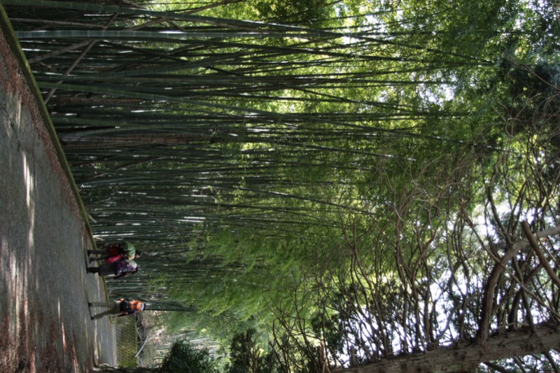 湯河原・城山