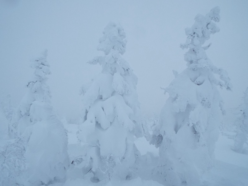 八甲田山