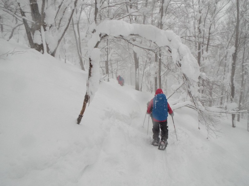 八甲田山