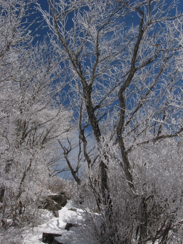 赤城山