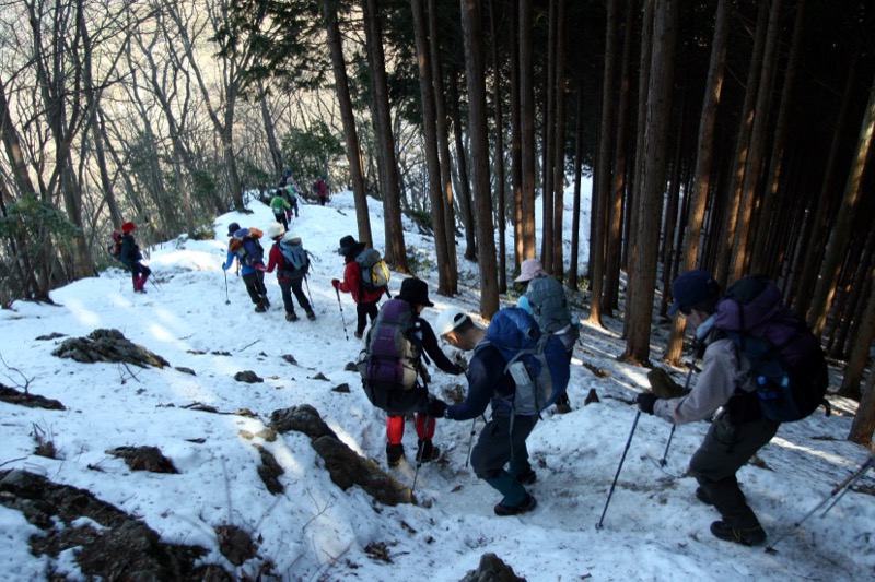 蕨山