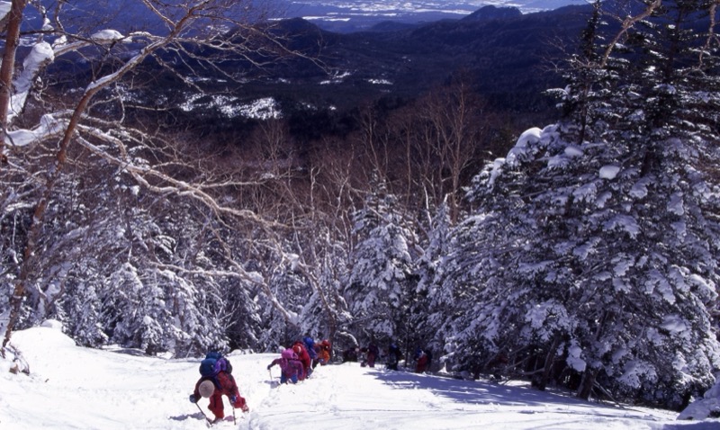 北八ヶ岳