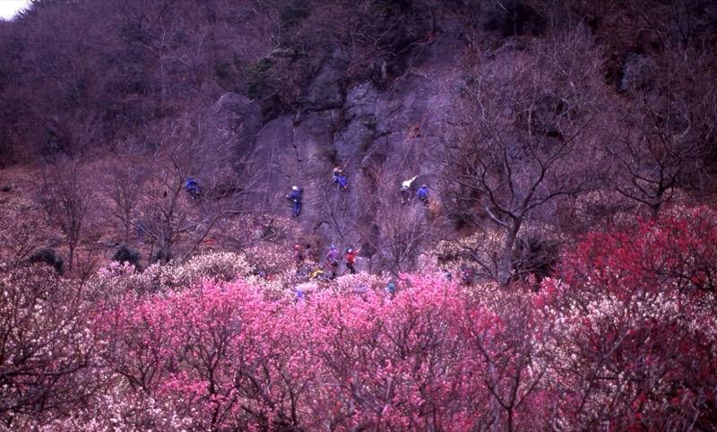 幕山