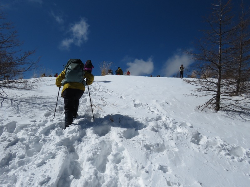 入笠山