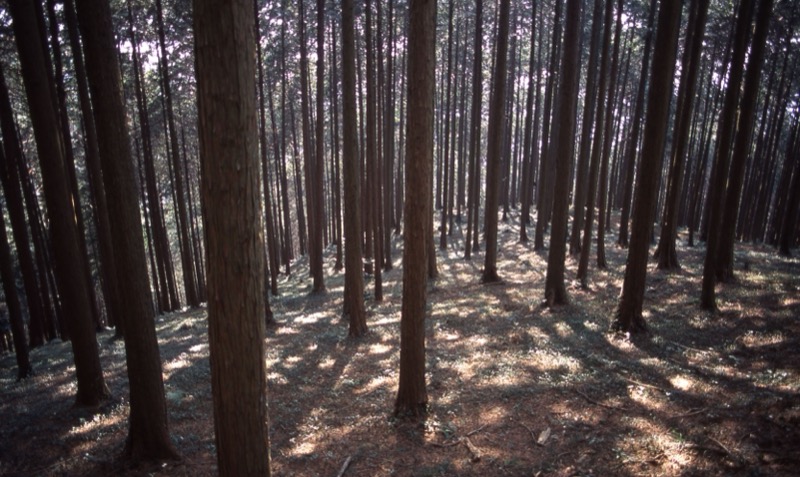 日和田山