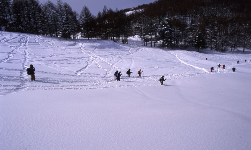 入笠山