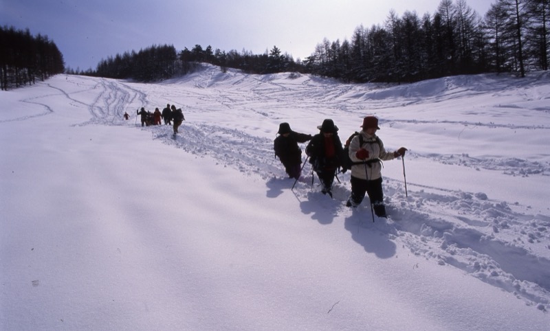 入笠山