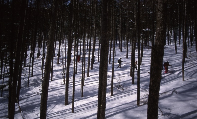 入笠山