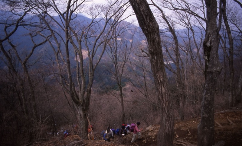 伊豆ヶ岳