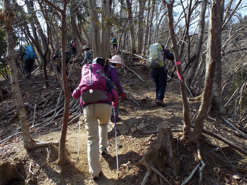 秩父・御岳山