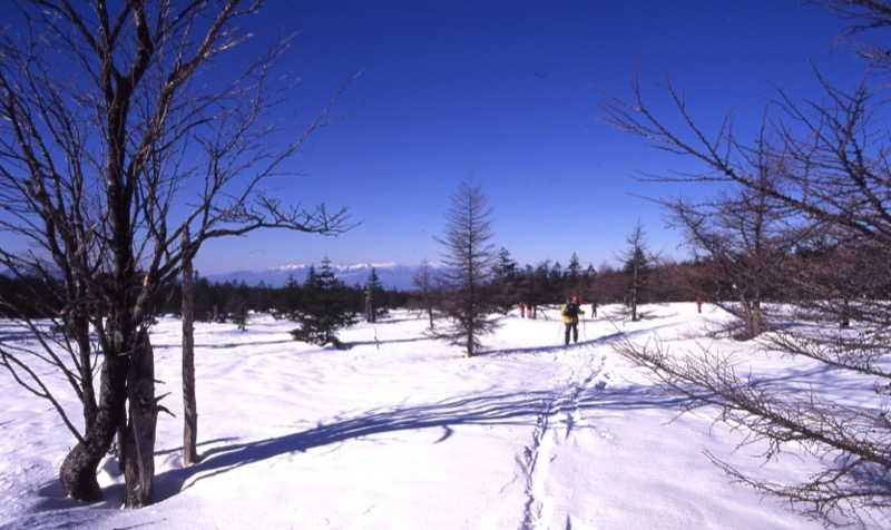 北八ヶ岳