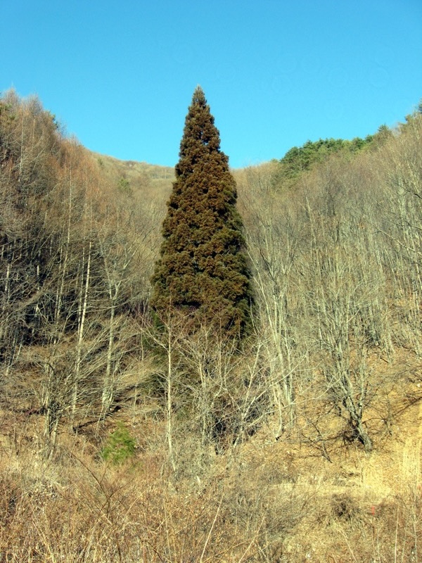 守屋山