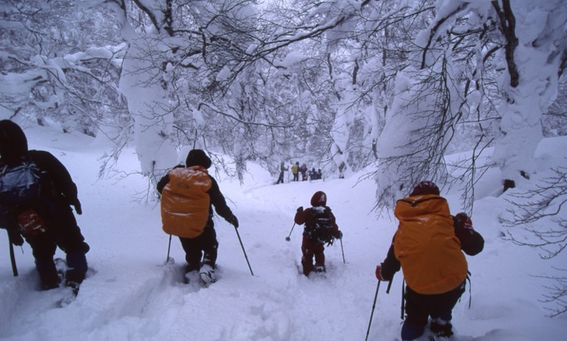 八甲田山