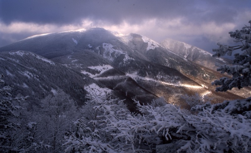 高峰高原