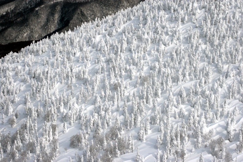 八甲田山