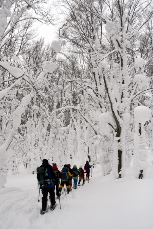 八甲田山