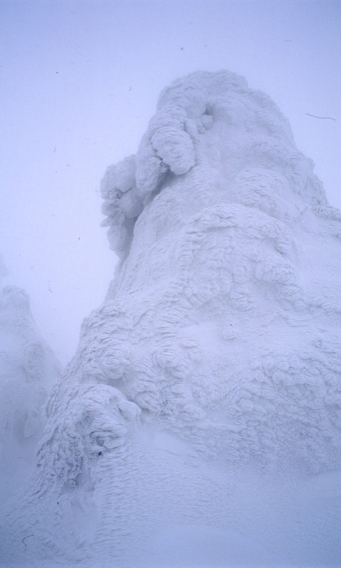 八甲田山