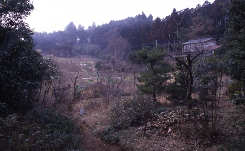 日和田山