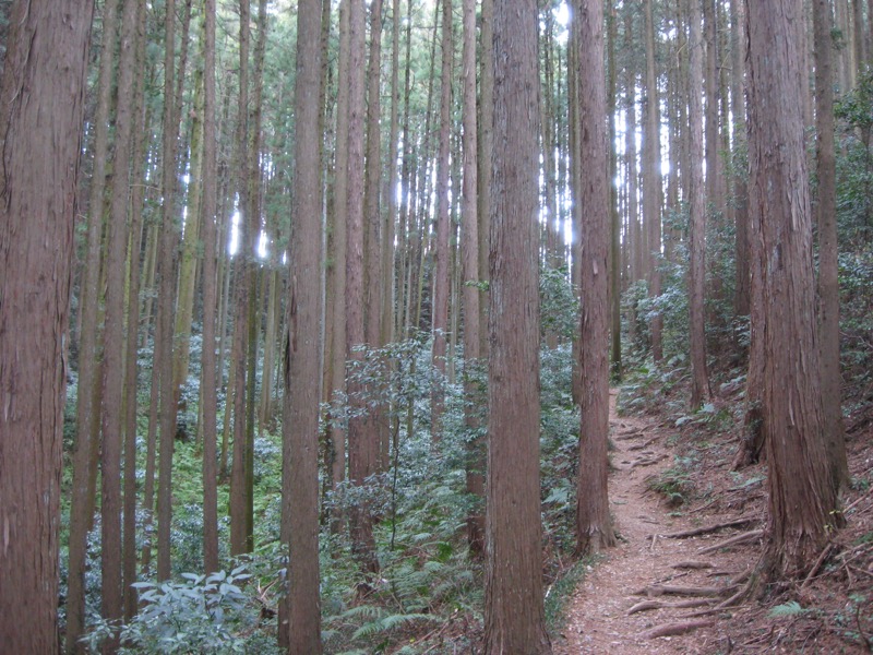 日和田山