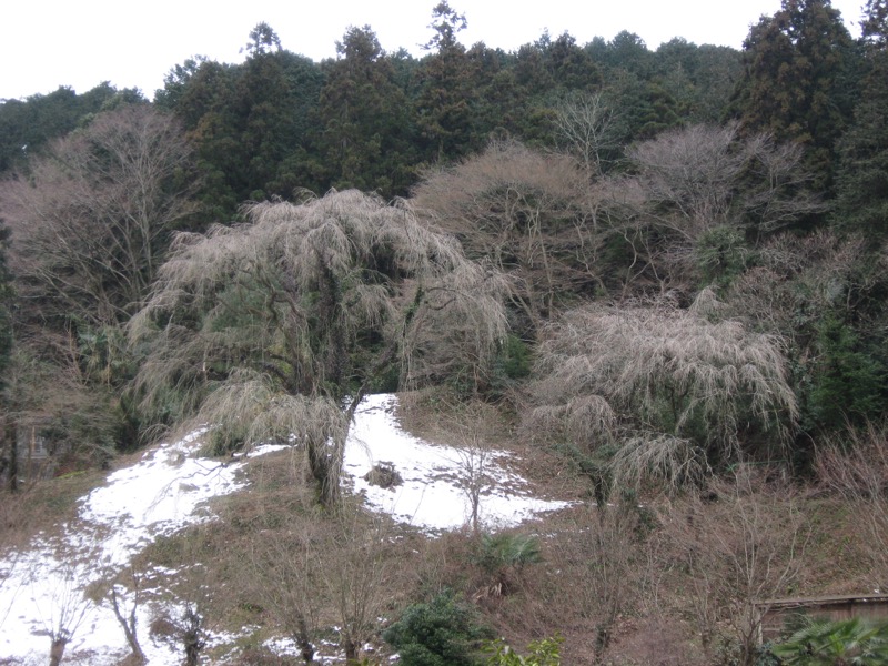 日和田山