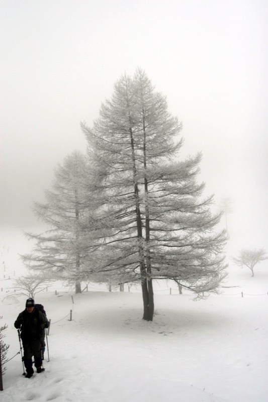 入笠山