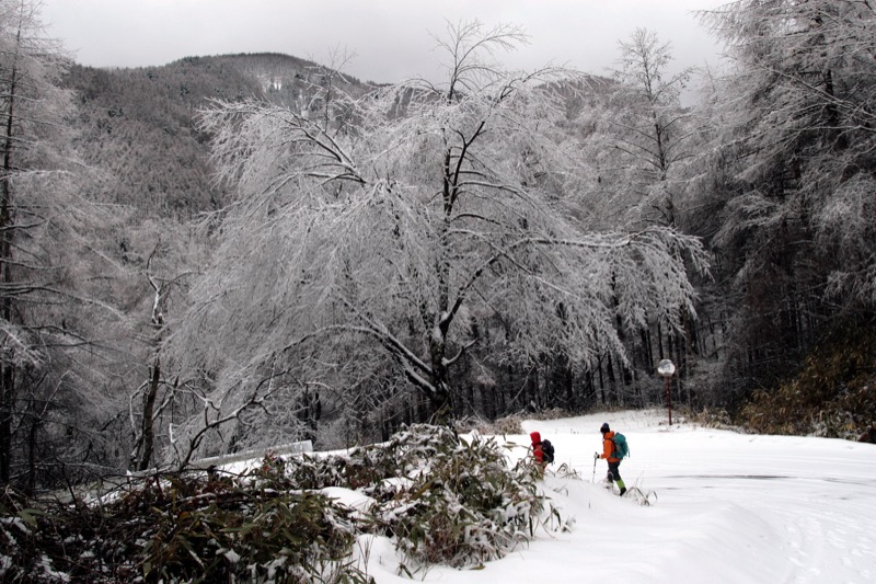 入笠山