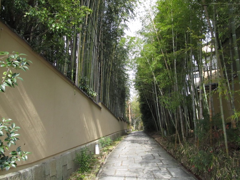 京都ハイキング