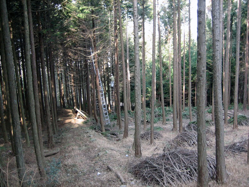 高川山