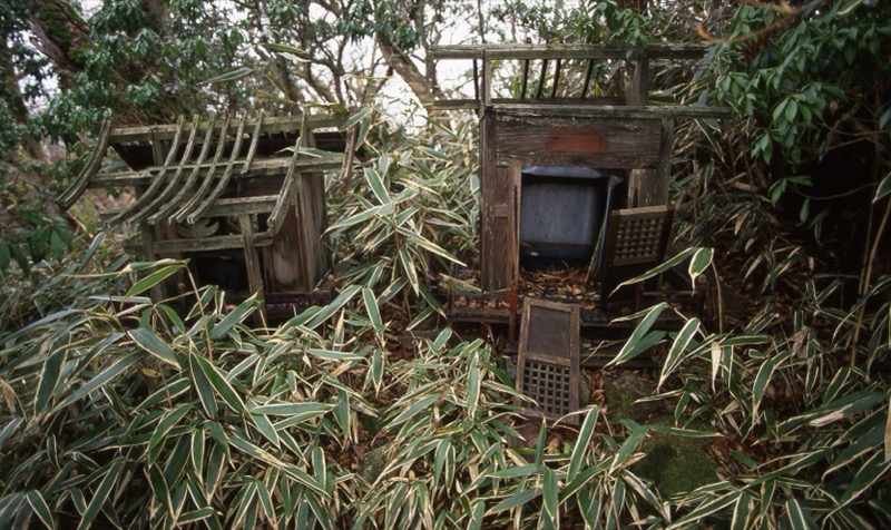 箱根・神山