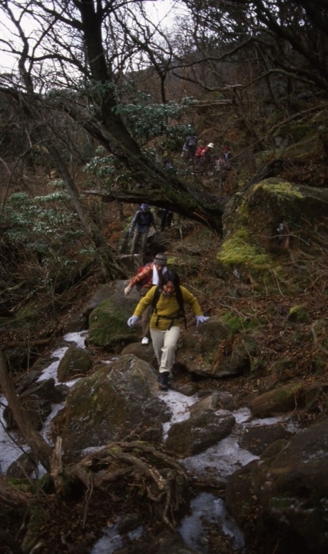 箱根・神山