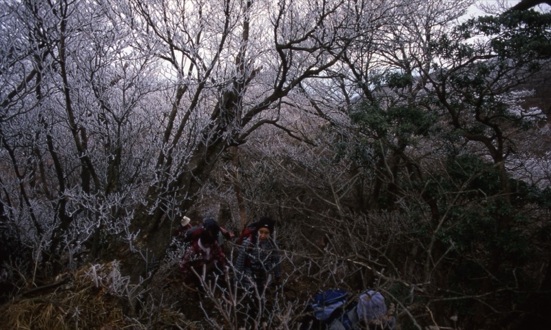 箱根・神山