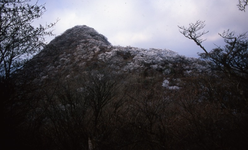 箱根・神山